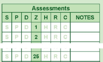 Driving Test Assessments Table
